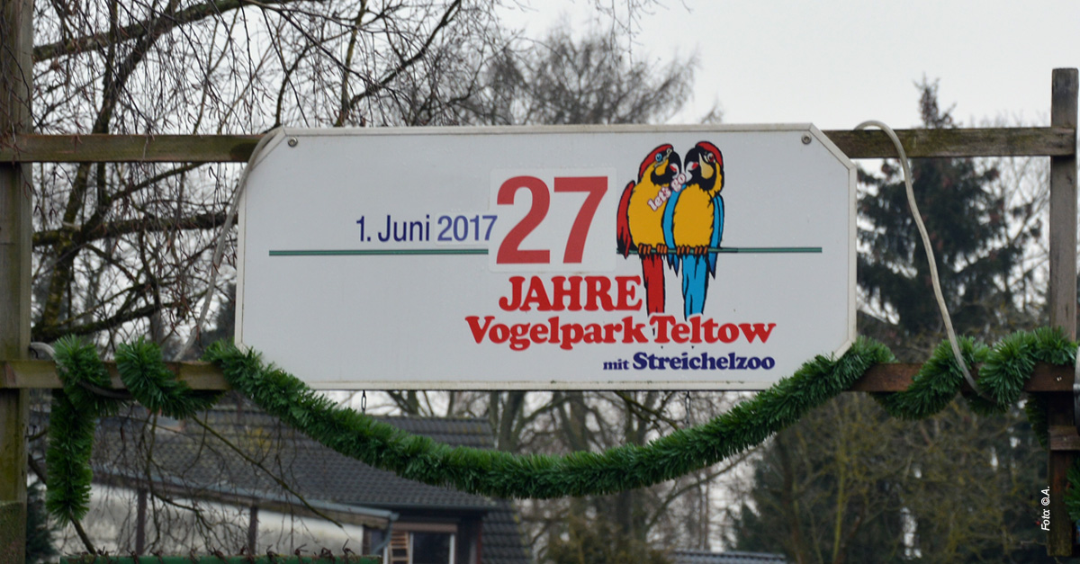 Vogelpark 2018 2